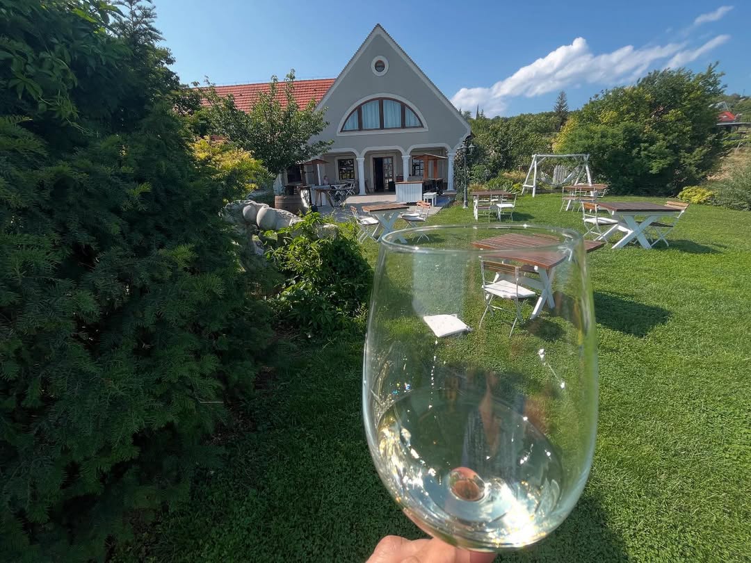 Köszönöm az élményt @lindubindu82 ! Szuper volt @feldobox ! #feldobox #koczorpincészet #koszonom